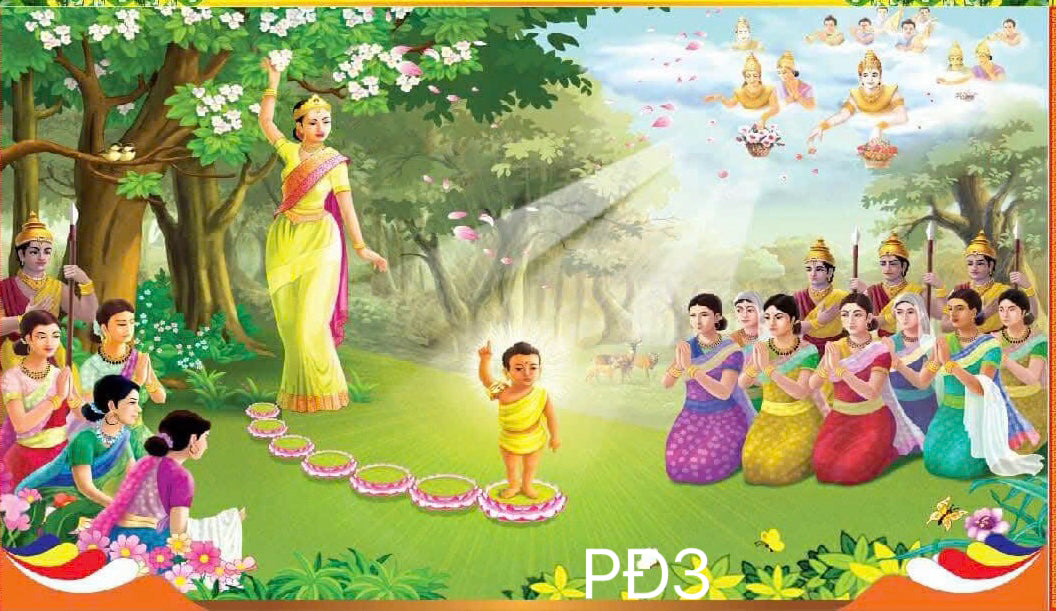 Super High Quality Back Drop. Code (PĐ3)
