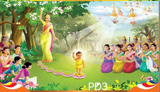 Super High Quality Back Drop. Code (PĐ3)
