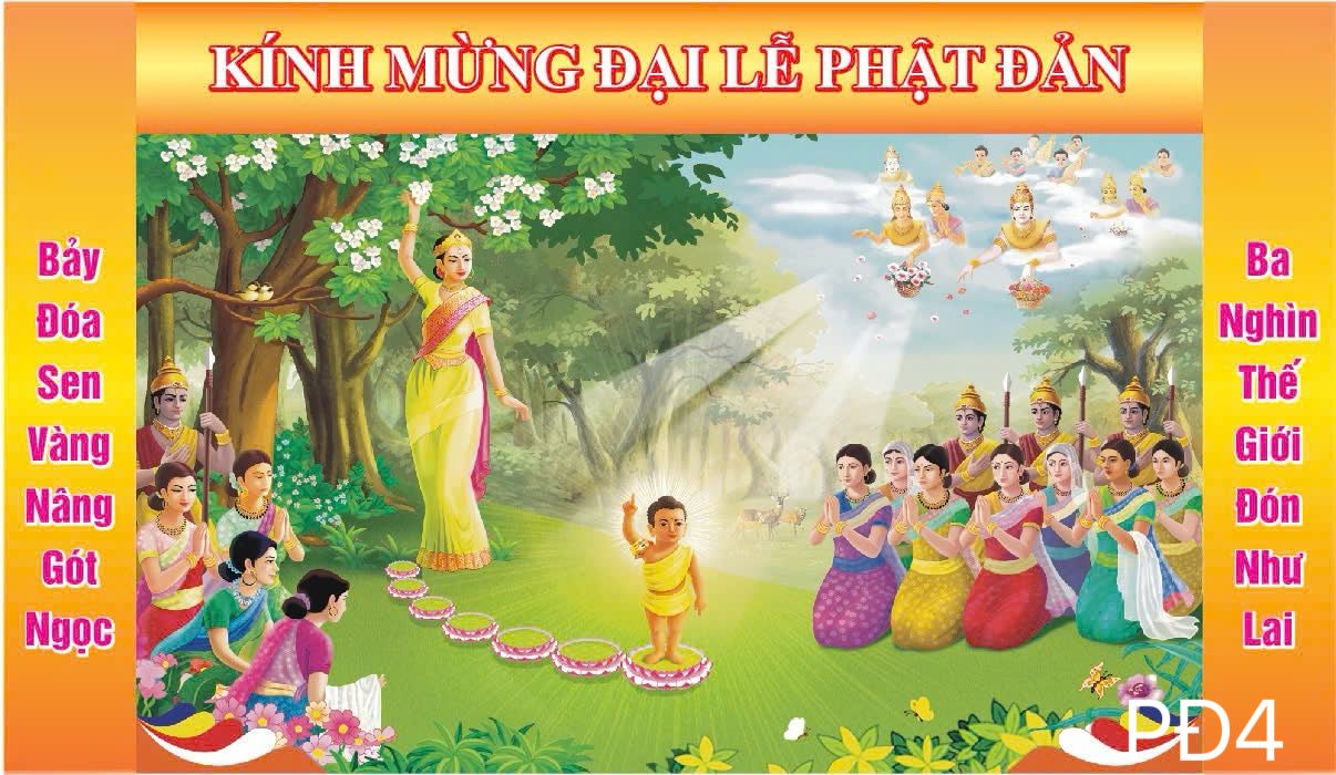 Super High Quality Back Drop. Code (PĐ4)