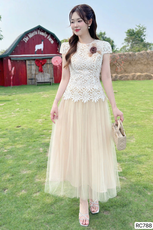 Dress Rc788