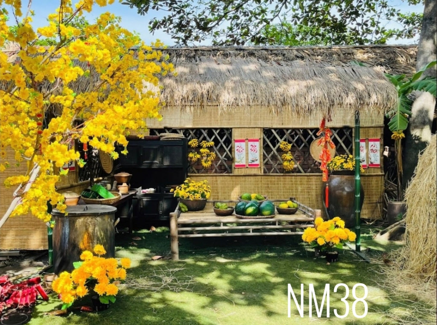 Super High Quality Back Drop. Code (NM38) for Tet Vietnamese New Year